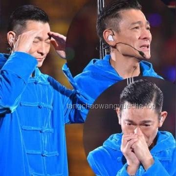 刘若英致歉声明撰写实用指南：如何诚恳表达歉意并重建信任